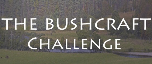 The Bushcraft Challenge  Survive from the Land for One Year